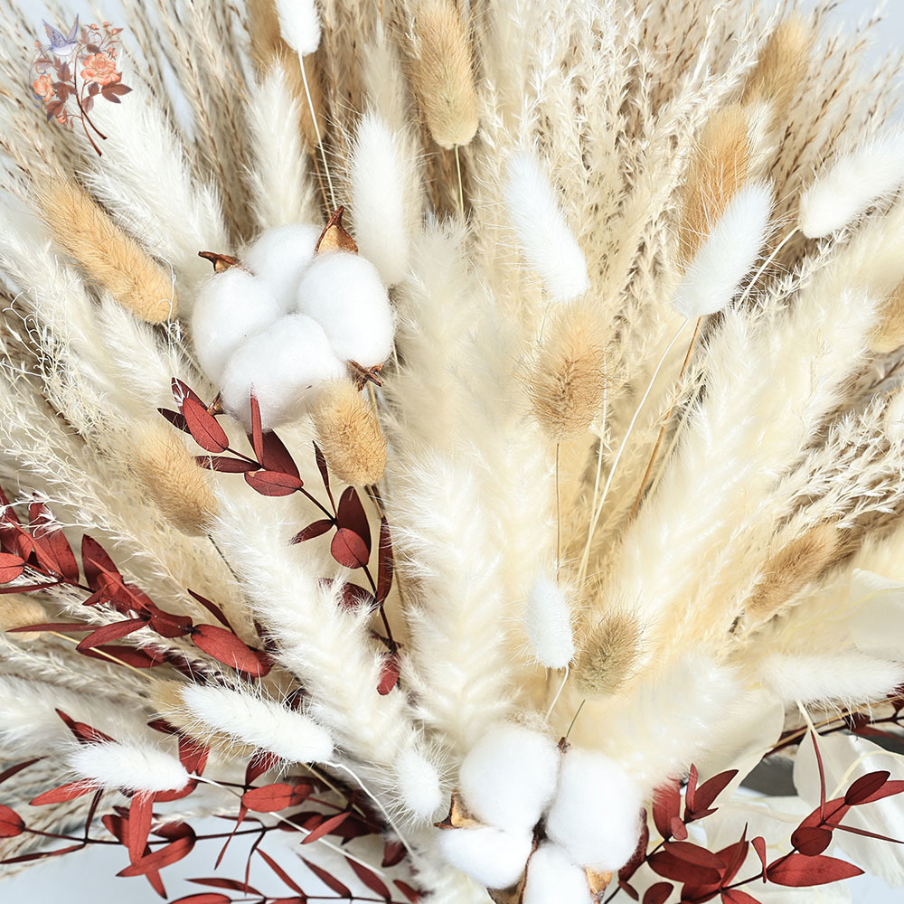 70pcs Dried Pampas Flowers Bou - đánh giá và giá Dried Pampas Bundle