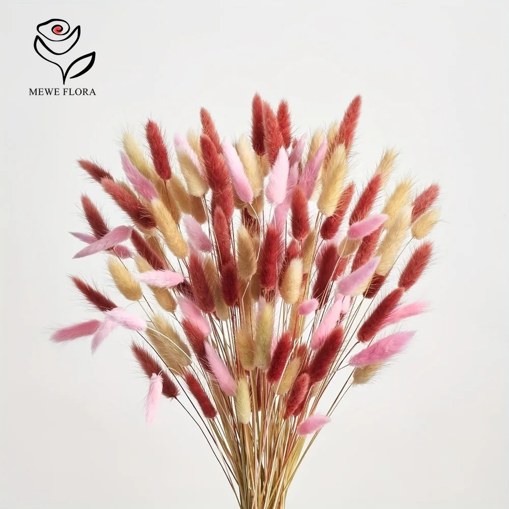 90pcs Mixed 3 Colors Bunny Tai - đánh giá và giá Dried Pampas Bundle