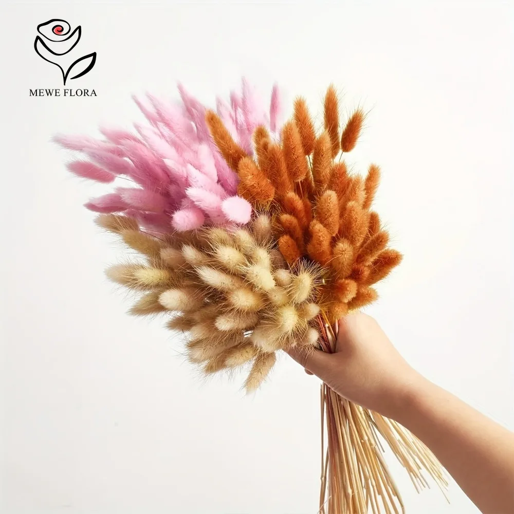 90pcs Mixed 3 Colors Bunny Tai - đánh giá và giá Dried Pampas Bundle