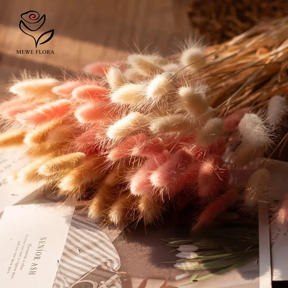 90pcs Mixed 3 Colors Bunny Tai - đánh giá và giá Dried Pampas Bundle