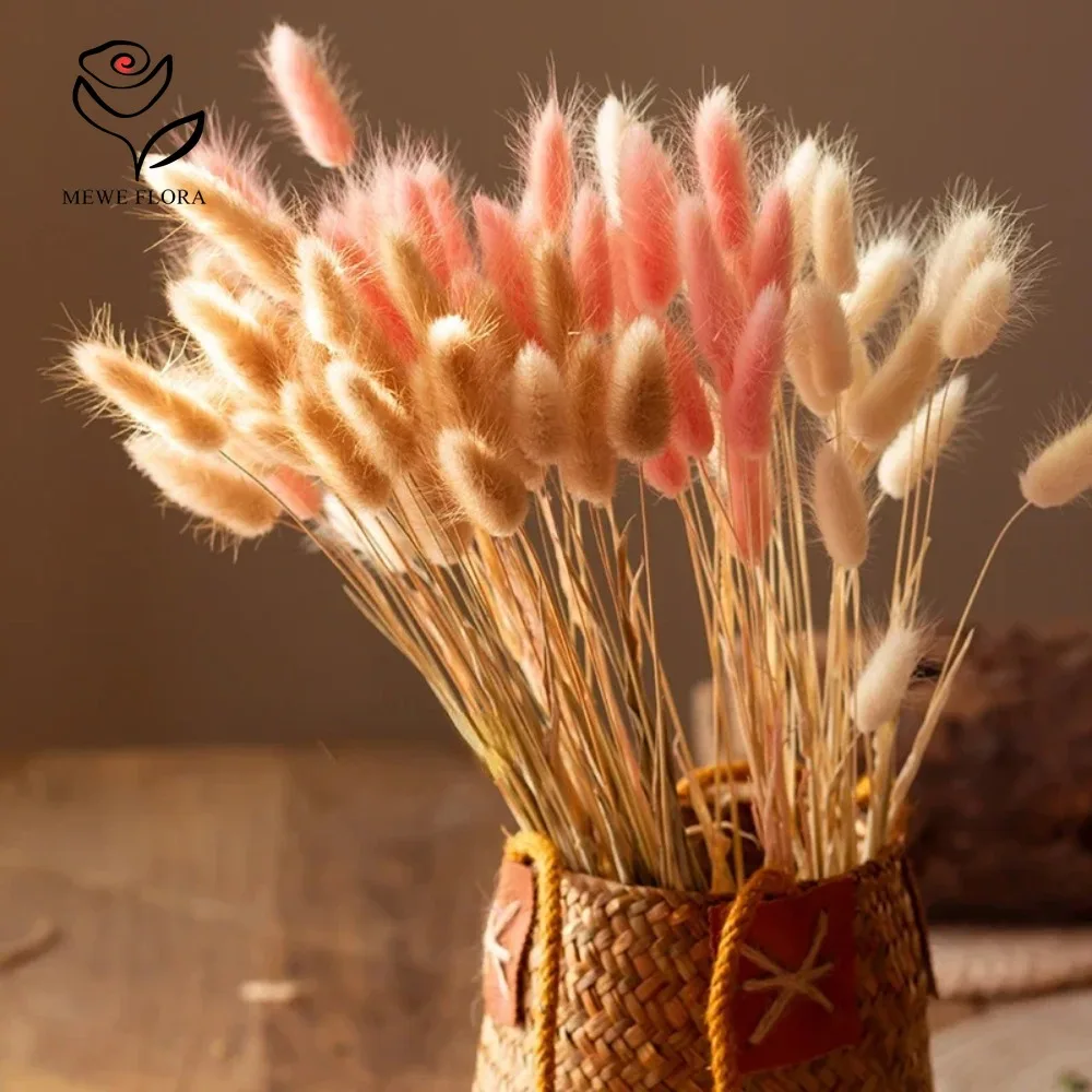 90pcs Mixed 3 Colors Bunny Tai - đánh giá và giá Dried Pampas Bundle