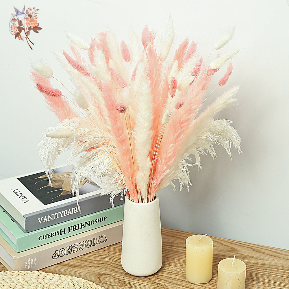 62 Pieces White Reeds Pink Rab - đánh giá và giá Dried Pampas Bundle