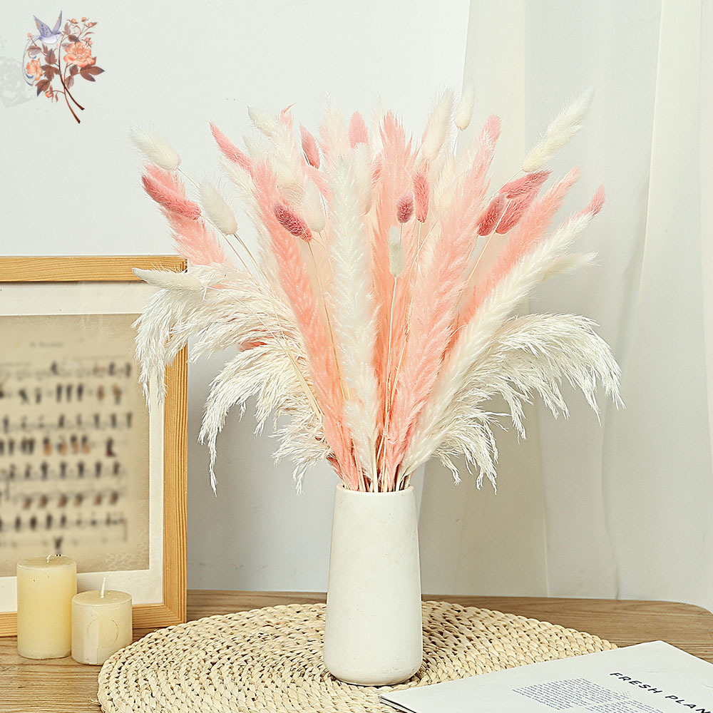 62 Pieces White Reeds Pink Rab - đánh giá và giá Dried Pampas Bundle