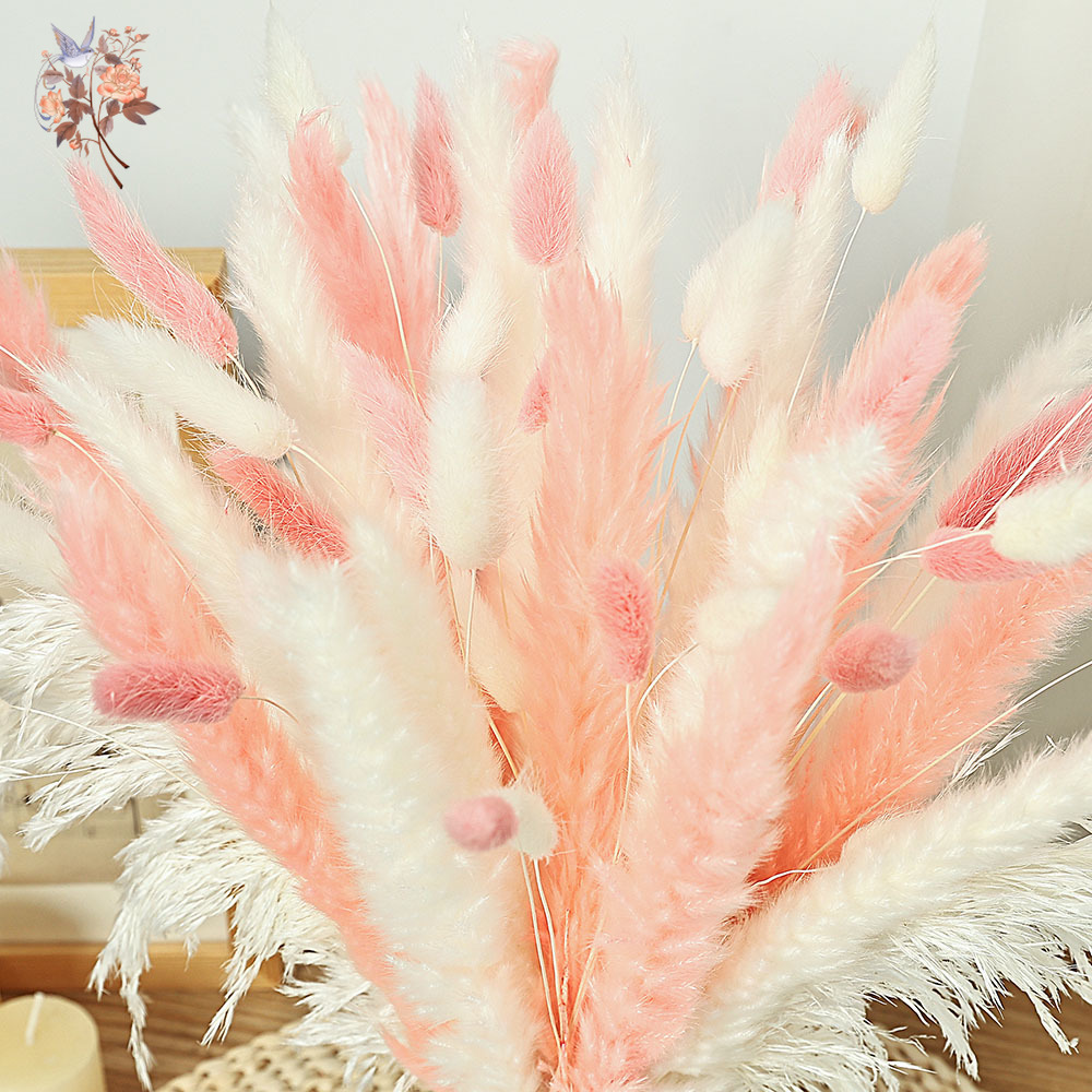 62 Pieces White Reeds Pink Rab - đánh giá và giá Dried Pampas Bundle