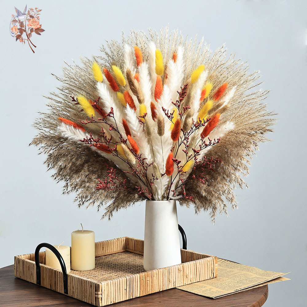 85 Pieces Natural Fluffy Autum - đánh giá và giá Dried Pampas Bundle