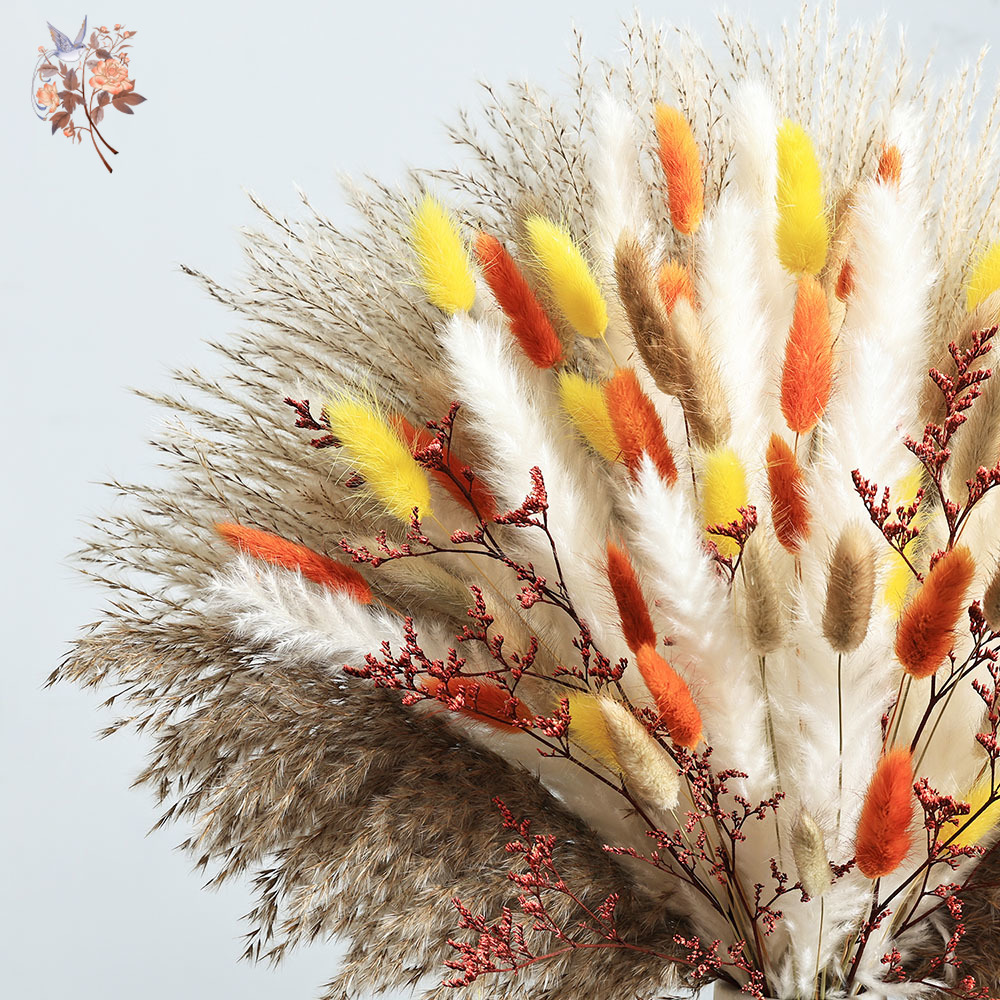 85 Pieces Natural Fluffy Autum - đánh giá và giá Dried Pampas Bundle
