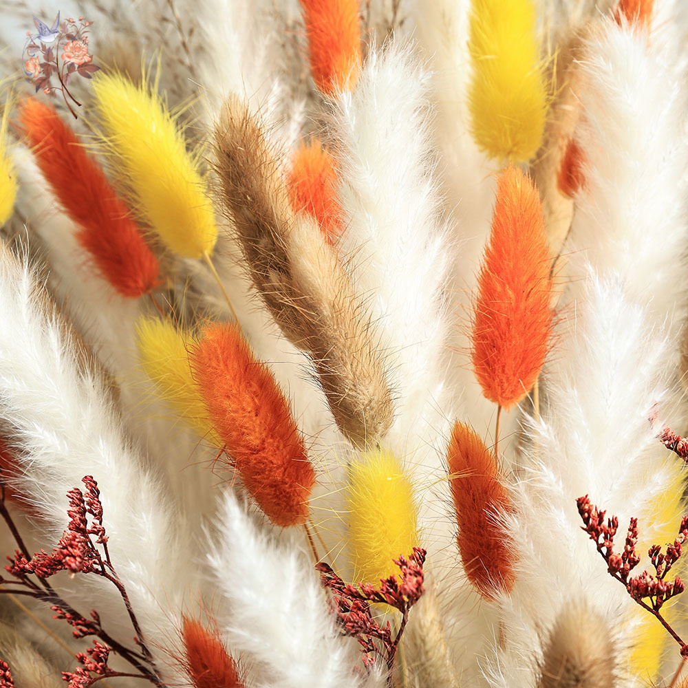 85 Pieces Natural Fluffy Autum - đánh giá và giá Dried Pampas Bundle