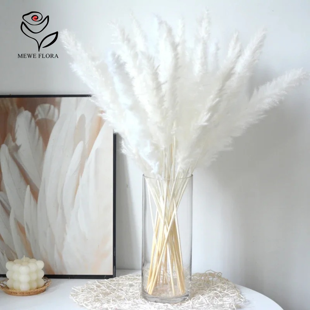 20pcs Fluffy Pampas Grass Reed - đánh giá và giá Dried Pampas Bundle