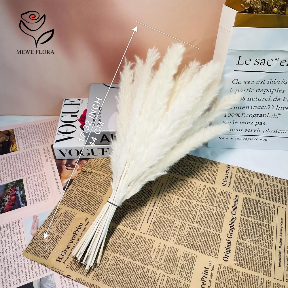 20pcs Fluffy Pampas Grass Reed - đánh giá và giá Dried Pampas Bundle