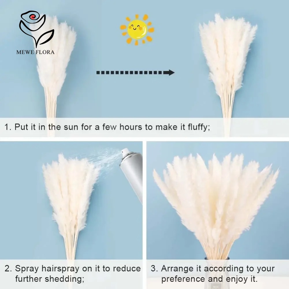 20pcs Fluffy Pampas Grass Reed - đánh giá và giá Dried Pampas Bundle