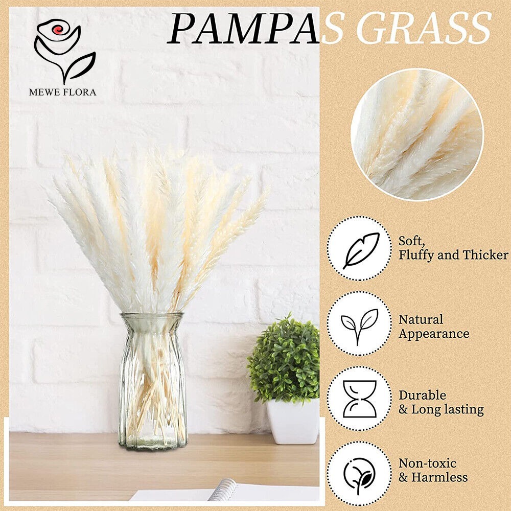 20pcs Fluffy Pampas Grass Reed - đánh giá và giá Dried Pampas Bundle