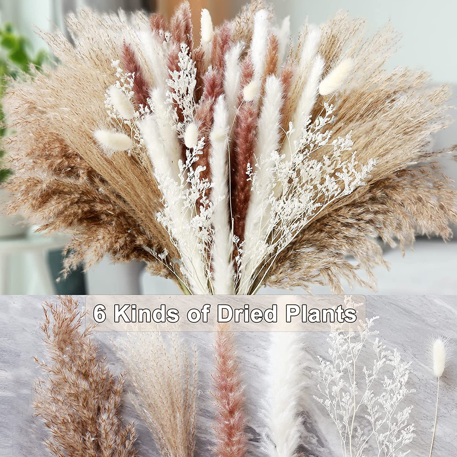 Home Table Decor Dried Plants  - đánh giá và giá Dried Pampas Bundle