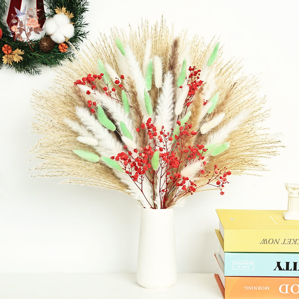70 Stems Fluffy Green Red Pamp - đánh giá và giá Dried Pampas Bundle