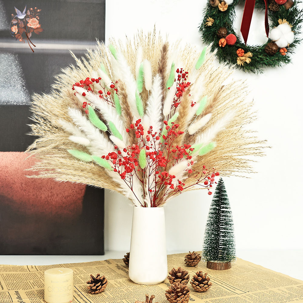 70 Stems Fluffy Green Red Pamp - đánh giá và giá Dried Pampas Bundle