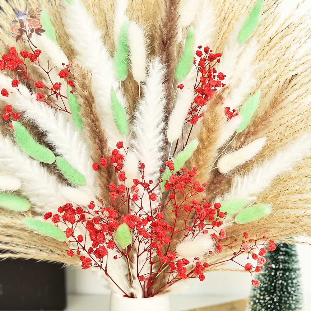 70 Stems Fluffy Green Red Pamp - đánh giá và giá Dried Pampas Bundle
