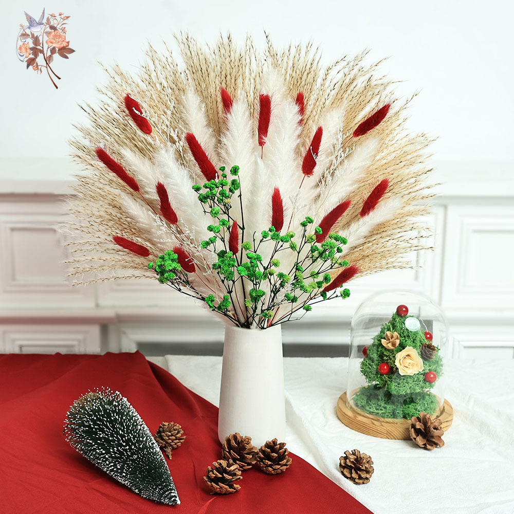 55pcs Dried Flowers Bouquet Ch - đánh giá và giá Dried Pampas Bundle