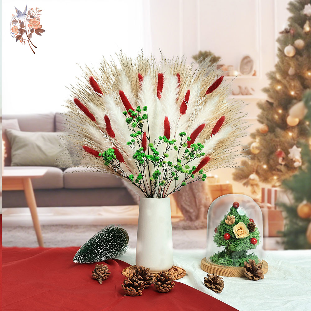 55pcs Dried Flowers Bouquet Ch - đánh giá và giá Dried Pampas Bundle