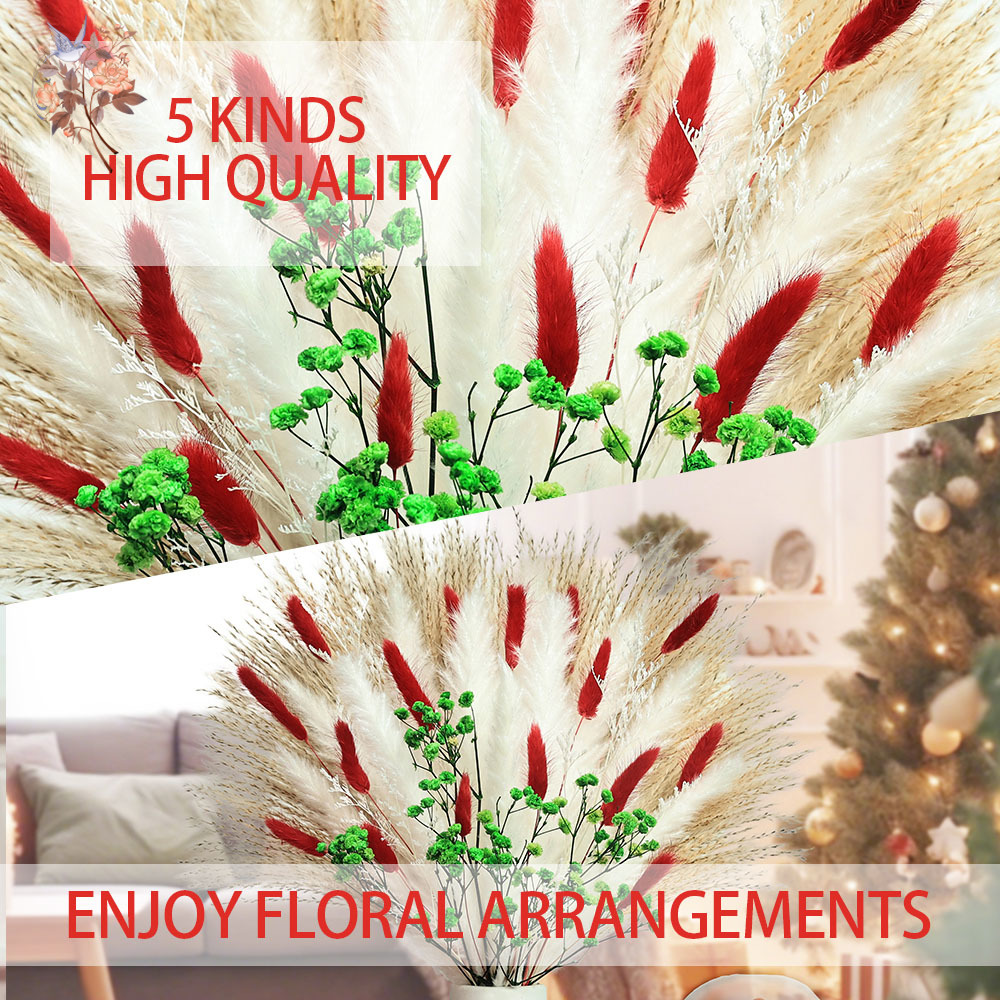 55pcs Dried Flowers Bouquet Ch - đánh giá và giá Dried Pampas Bundle