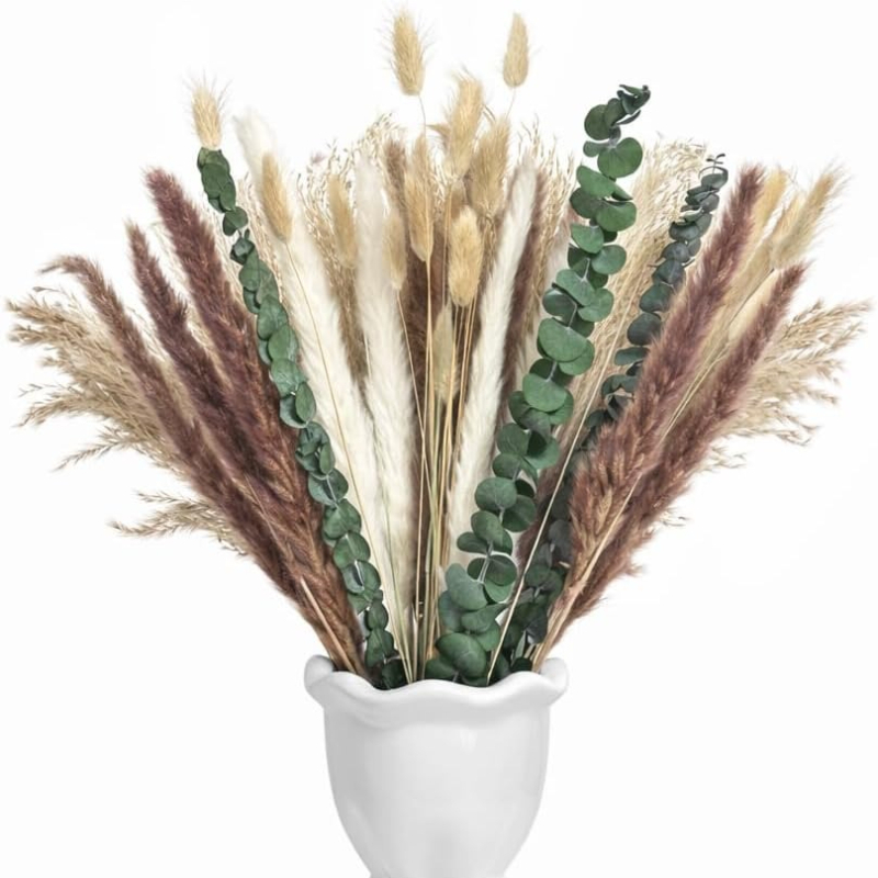 65Pcs DIY Natural Dried Flower - đánh giá và giá Dried Pampas Bundle