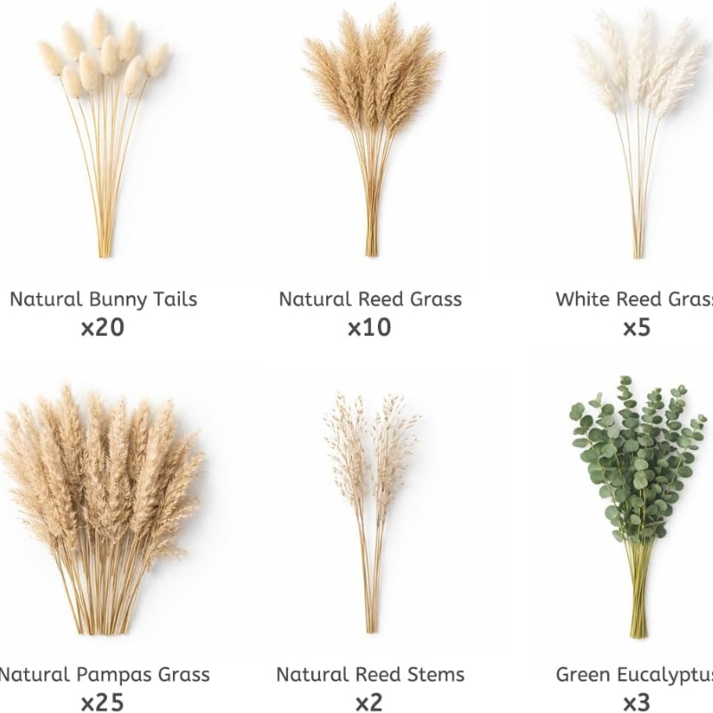 65Pcs DIY Natural Dried Flower - đánh giá và giá Dried Pampas Bundle
