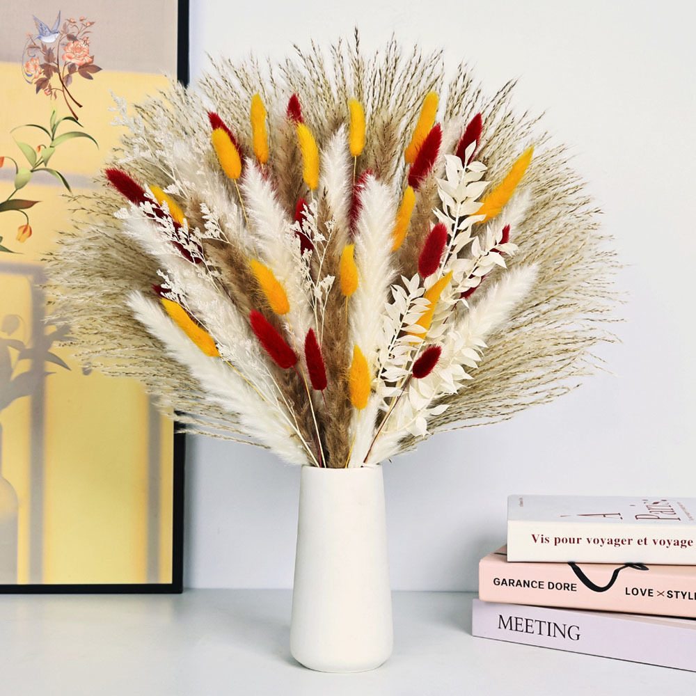 70 Stems Natural Fluffy Pampas - đánh giá và giá Dried Pampas Bundle