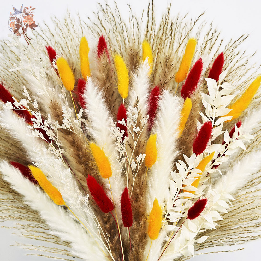 70 Stems Natural Fluffy Pampas - đánh giá và giá Dried Pampas Bundle