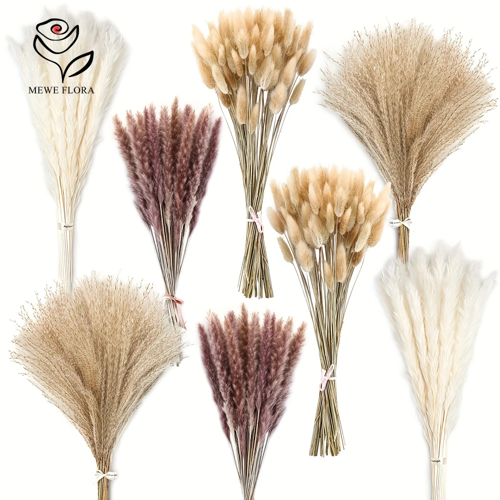 200Pcs Dried Pampas Bunny Tail - đánh giá và giá Dried Pampas Bundle