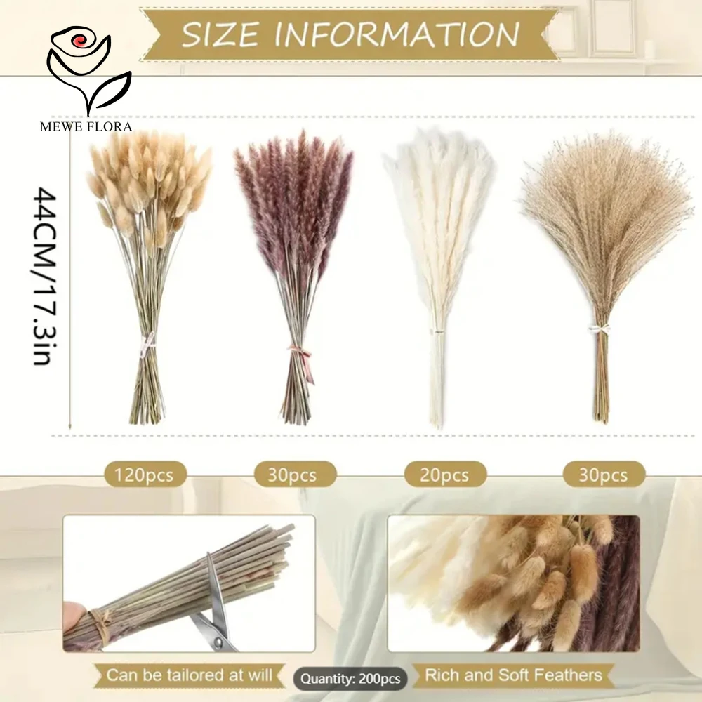 200Pcs Dried Pampas Bunny Tail - đánh giá và giá Dried Pampas Bundle