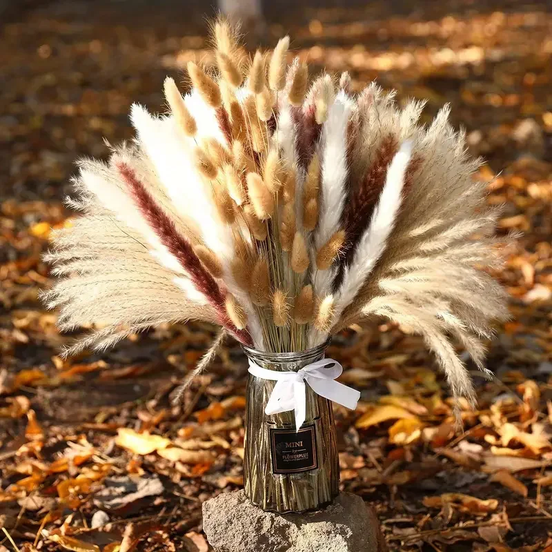200Pcs Dried Pampas Bunny Tail - đánh giá và giá Dried Pampas Bundle